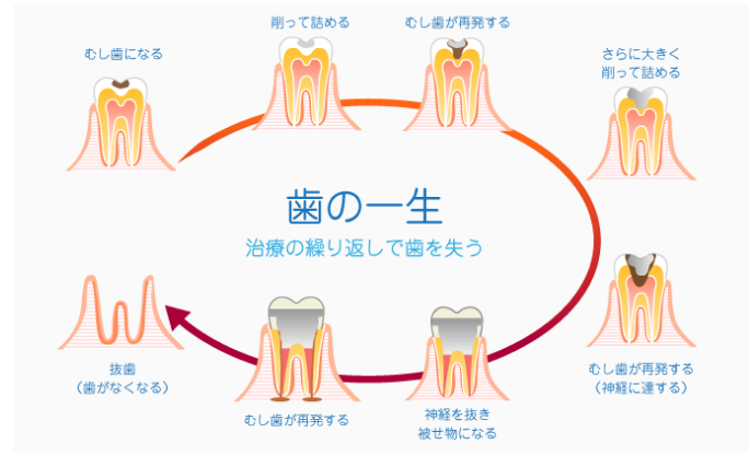 専門のセラミストが在籍